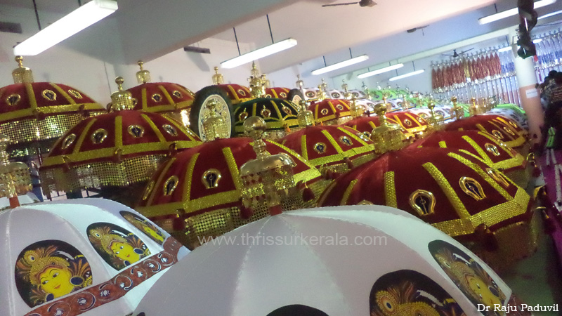 thrissur-pooram-2013-1 (16)